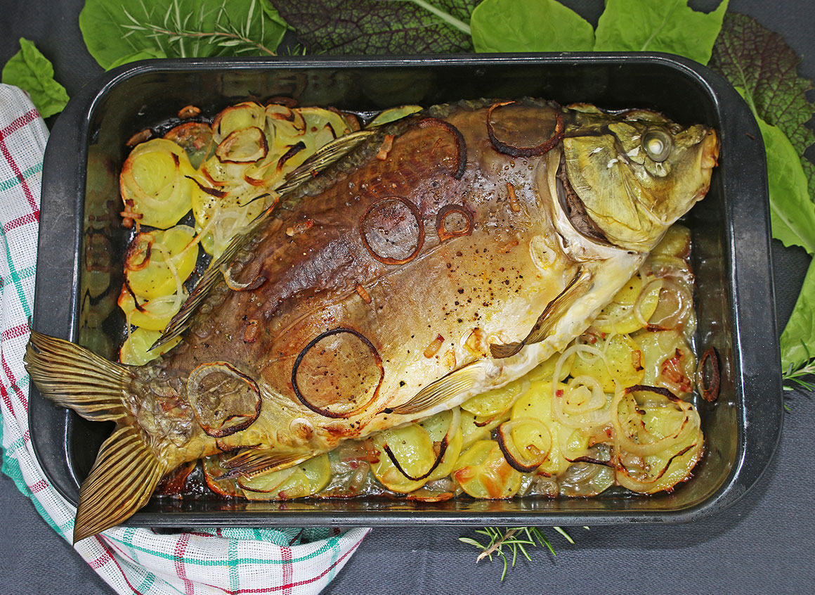 Rezept: Spiegelkarpfen auf Speckkartoffeln mit Merrettichsauce