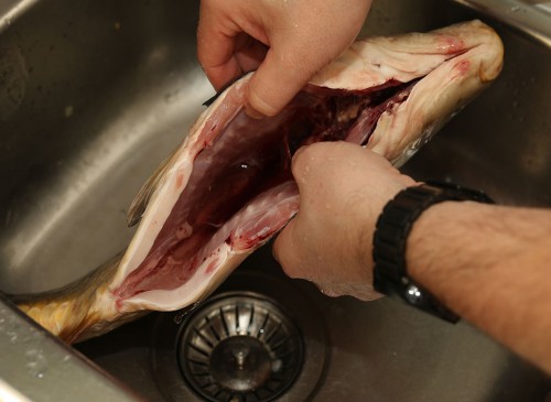 Karpfen innen als auch außen waschen, ggf. Innereien entfernen.