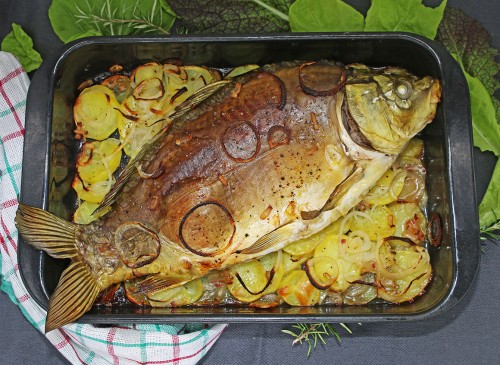 spiegelkarpfen-speckkartoffeln-merrettichsauce