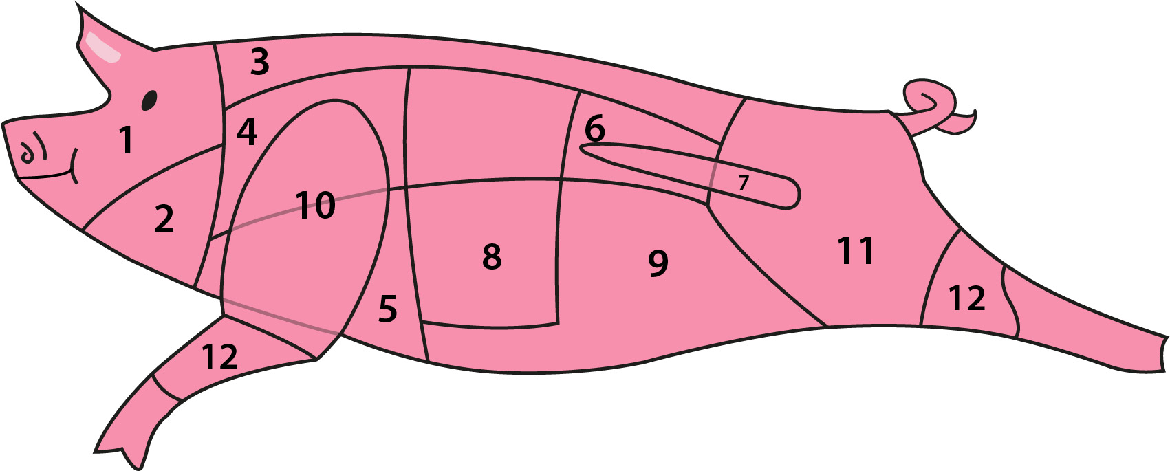 teilstueke-vom-schwein