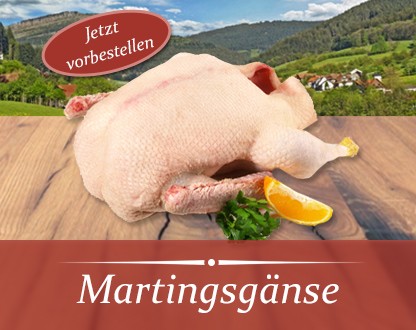 Martinsgänse